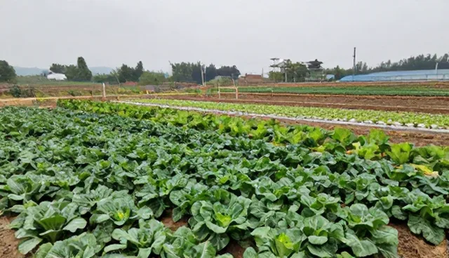 仓储保鲜中湿度调节的5大检查要点